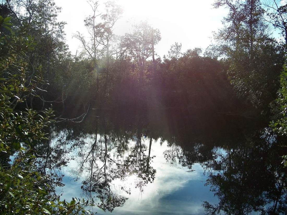 Sand Lake at Wekiwa Springs