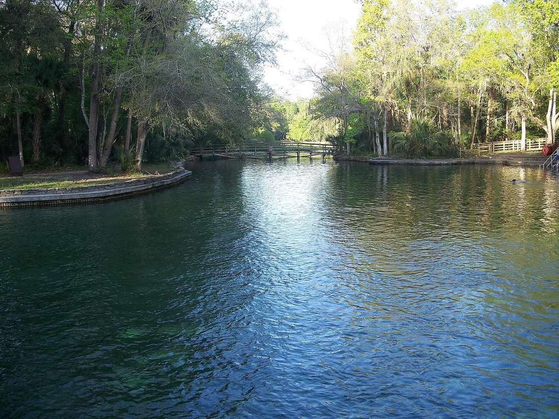 Wekiwa Springs swimming area